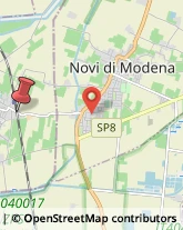 Via Novi, 52,42047Rolo