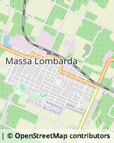 Viale Giulio Zaganelli, 76,48024Massa Lombarda