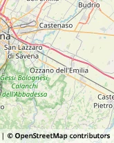 Via Emilia, 169,40133San Lazzaro di Savena