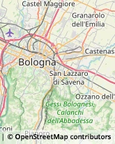 Via Nicolò dall'Arca, 14,40129Bologna