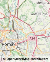 Via Arezzo, 54,00161Roma