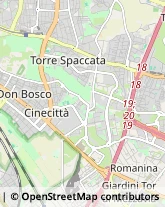 Via Pietro Belon, 154,00169Roma