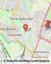 Via Fratelli Poggini, 52,00133Roma