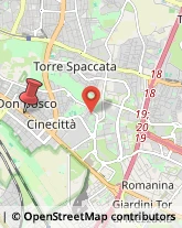 Via Tuscolana, 885,00174Roma