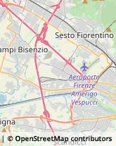 Via della Pieve, 3,50122Firenze