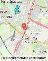 Feste - Organizzazione e Servizi,00173Roma