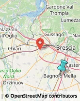 Bulbi e Sementi,25021Brescia