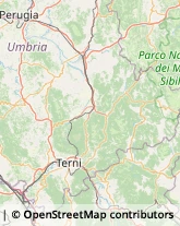 Viale dei Martiri della Libertà, 31,05100Terni