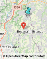 Pizzerie,20838Monza e Brianza