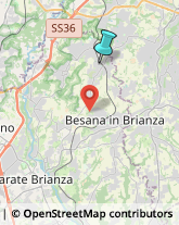 Pizzerie,20838Monza e Brianza