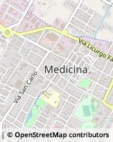 Viale Guglielmo Marconi, 7,40059Medicina