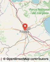 Polizia e Questure,71019Foggia