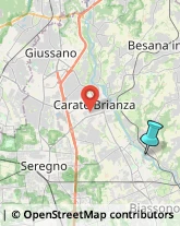 Giardinaggio - Servizio,20844Monza e Brianza