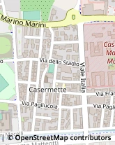 Viale Italia, 23,51100Pistoia