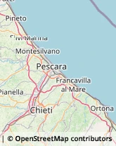 Pelletterie - Ingrosso e Produzione,65015Pescara