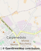 Via Umberto Treccani, 5,25013Carpenedolo