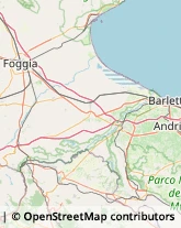 Strada Statale 161, KM.30,700,71045Orta Nova