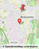 Via Luciano Manara, 12,20853Biassono