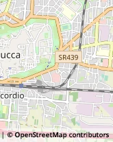 Urologia - Medici specialisti,55100Lucca