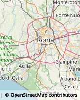 Via di Saponara, 596,00125Roma