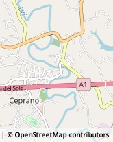 Corso Vittorio Emanuele, 45,03024Ceprano