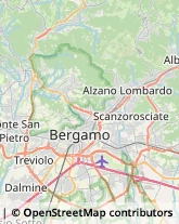 Cardiologia - Medici Specialisti,24068Bergamo