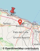 Via Roma, 77,70056Molfetta