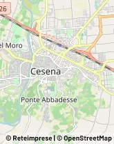 Viale Abruzzi, 142,47023Cesena