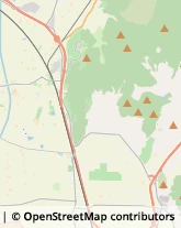 Autofficine e Centri Assistenza,58100Grosseto