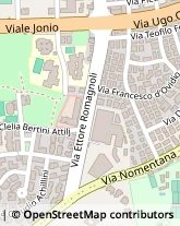 Via Ettore Romagnoli, 09,00137Roma