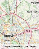 Via Francesco Flora, 64,00139Roma