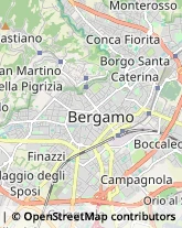 Otorinolaringoiatria - Medici Specialisti,24128Bergamo