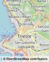 Giornali e Riviste - Editori,34131Trieste