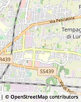 Parrucchieri,55100Lucca