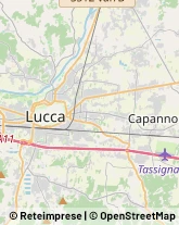 Via Pesciatina, 143,55012Capannori