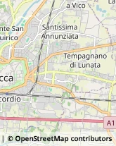 Parrucchieri,55100Lucca