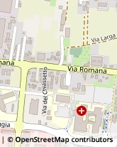 Via Romana, 228/Aranc,55100Lucca