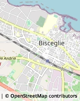 Via Luigi Papagni, 61,70052Bisceglie