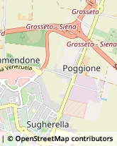 Via Genova, ,58100Grosseto