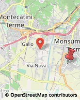 Via Pineta, 989,51015Monsummano Terme