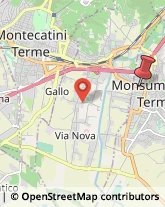 Via Empolese, 180,51015Monsummano Terme