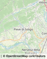 Notai,31051Treviso