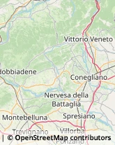 Notai,31015Treviso