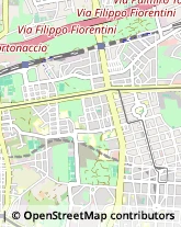 Via delle Rose, 33,00171Roma