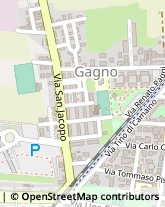 Via Guardistallo, 3,56123Pisa