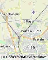 Via Giosuè Carducci, 60,56100Pisa