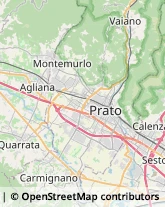 Pelletterie - Dettaglio,51031Pistoia