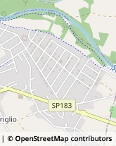 Viale dei Cipressi, 42,10090Bruino