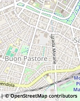 Viale Buon Pastore, 246,41124Modena