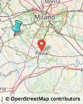 Bingo,27029Pavia